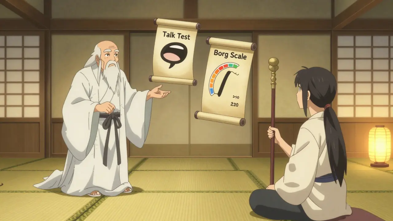 Manga-style sage teaching a student about talk test and exertion scales in a dojo.